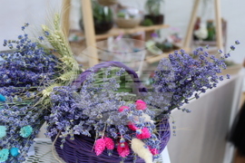 Румъния - изложение - цветя