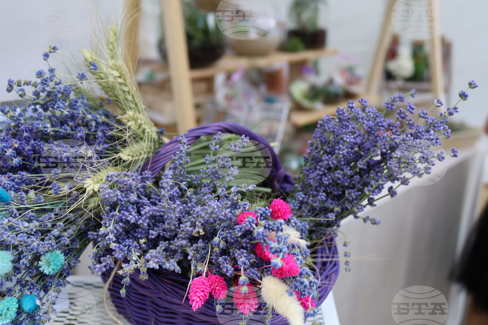 Румъния - изложение - цветя