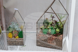 Румъния - изложение - цветя