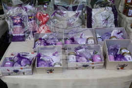 Румъния - изложение - цветя