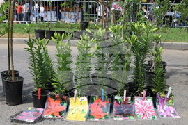 Румъния - изложение - цветя