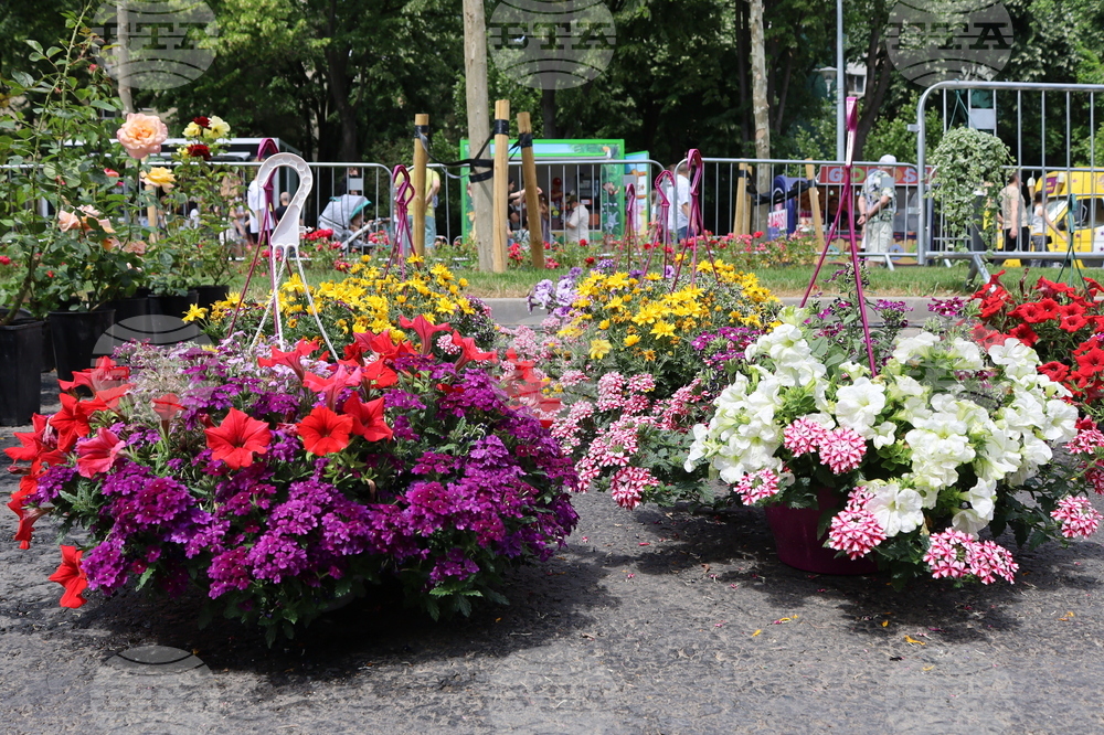 Румъния - изложение - цветя