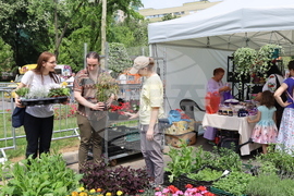 Румъния - изложение - цветя