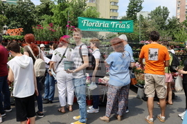 Румъния - изложение - цветя