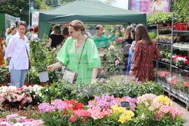 Румъния - изложение - цветя