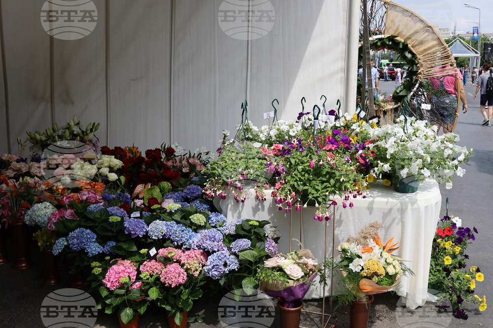 Румъния - изложение - цветя