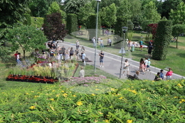 Румъния - изложение - цветя