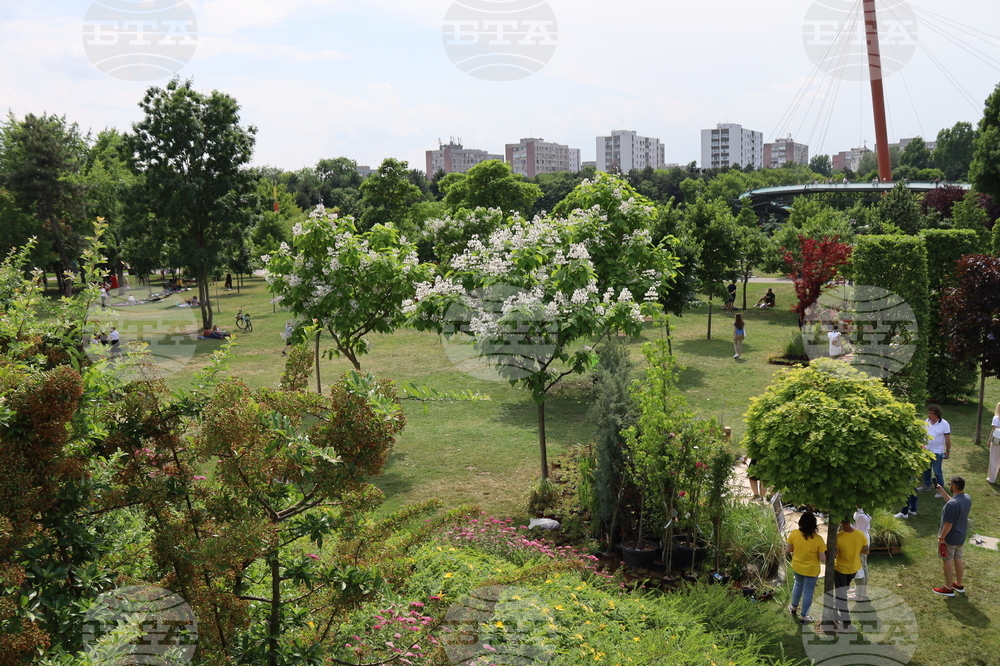 Румъния - изложение - цветя