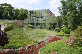 Румъния - изложение - цветя