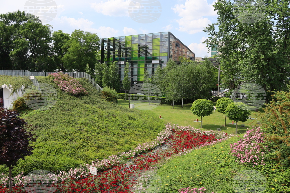 Румъния - изложение - цветя