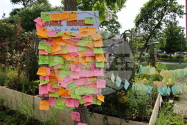 Румъния - изложение - цветя