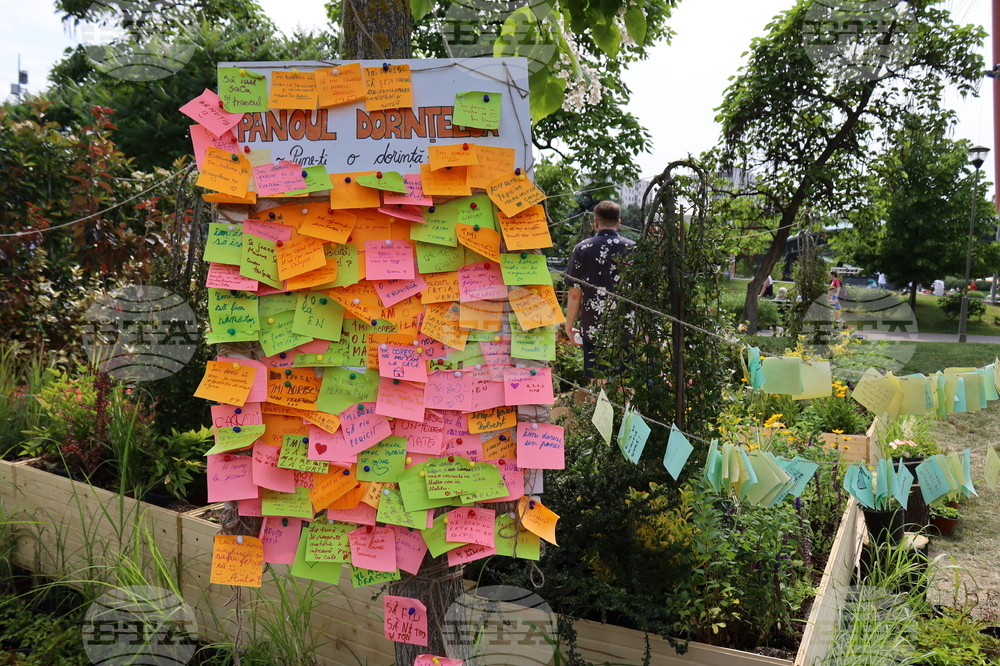 Румъния - изложение - цветя