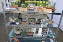 Румъния - изложение - цветя