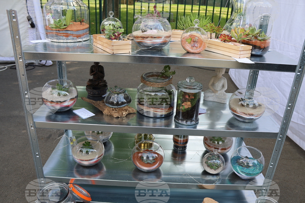 Румъния - изложение - цветя