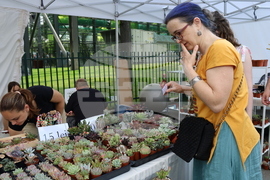 Румъния - изложение - цветя