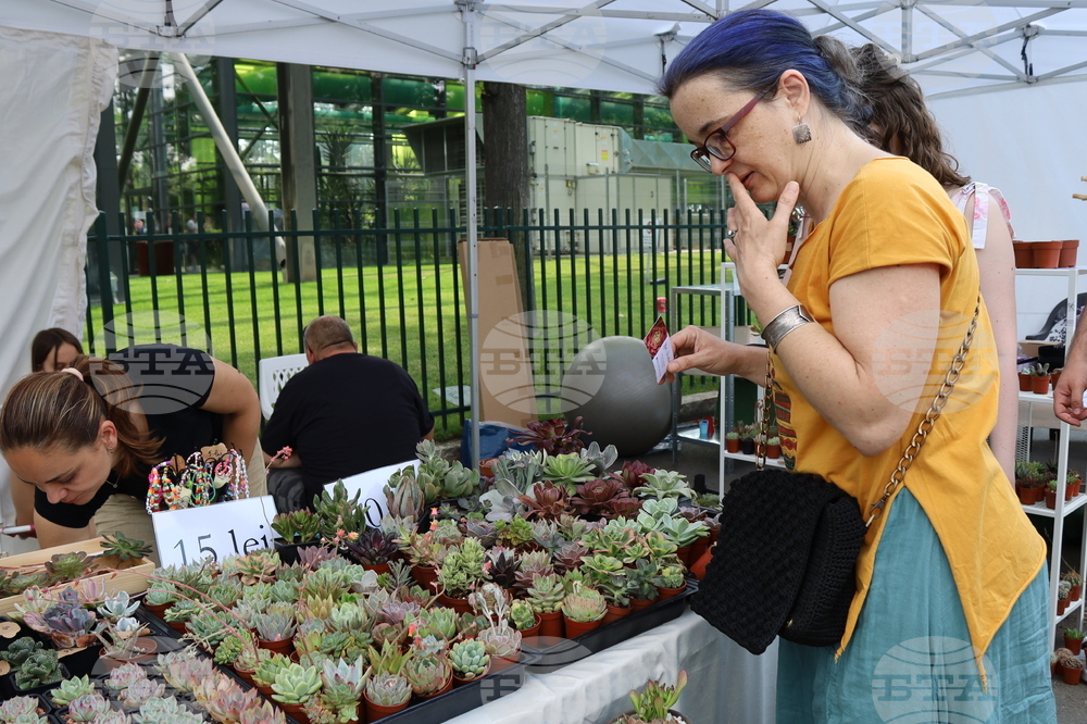 Румъния - изложение - цветя