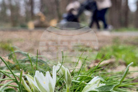 Варна - Морска градина - цветя