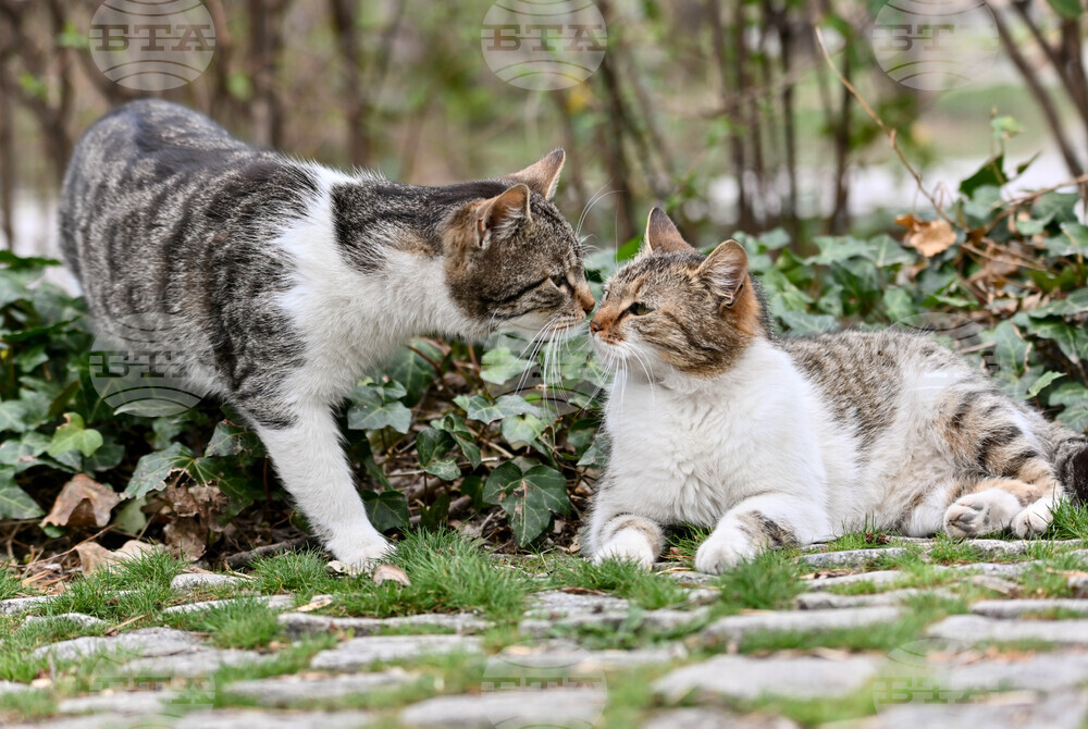 Пловдив - ежедневие