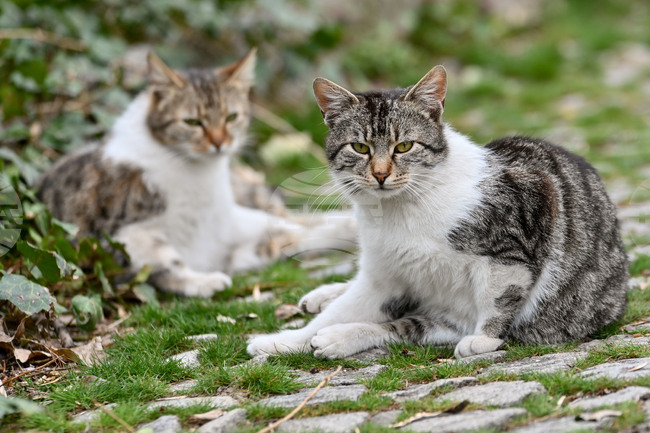 The Weather on June 21-22