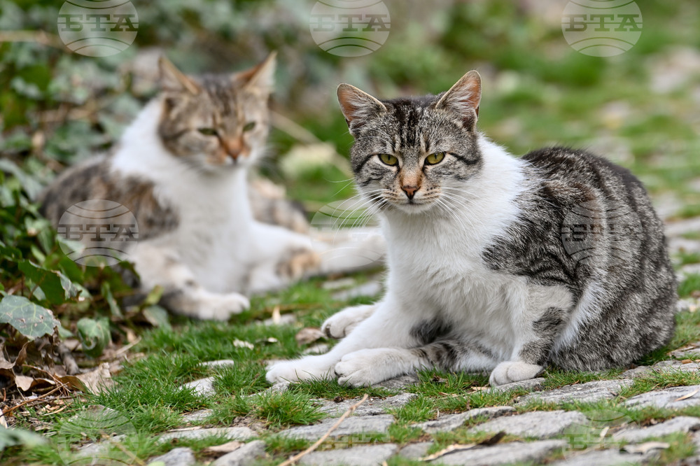 Пловдив - ежедневие