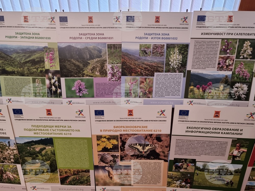 Bulgaria’s Wild Orchids: Familiar to the Ancients, Not So Today