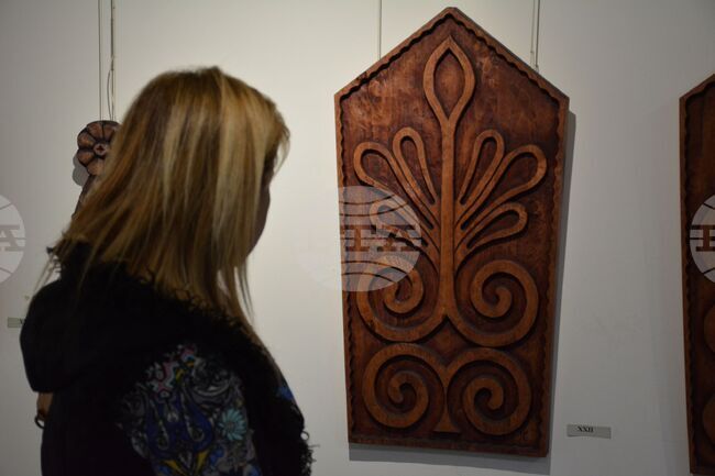 Благоевград - изложба - Янко Стоицов