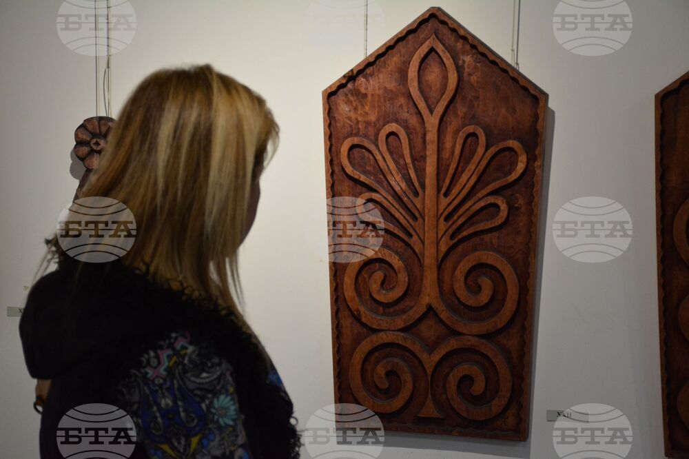 Благоевград - изложба - Янко Стоицов