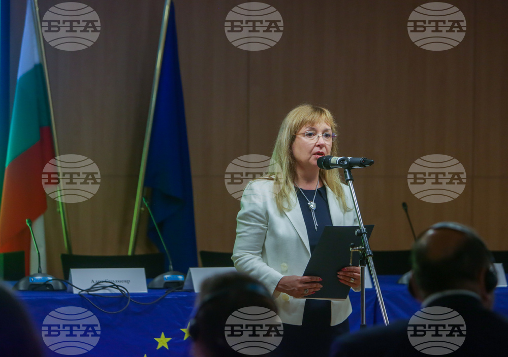 Дом на Европа - конференция - Зорница Русинова