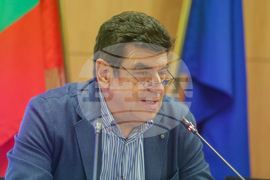 Дом на Европа - конференция - Веселин Митов