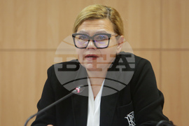 Дом на Европа - конференция - Соня Момчилова