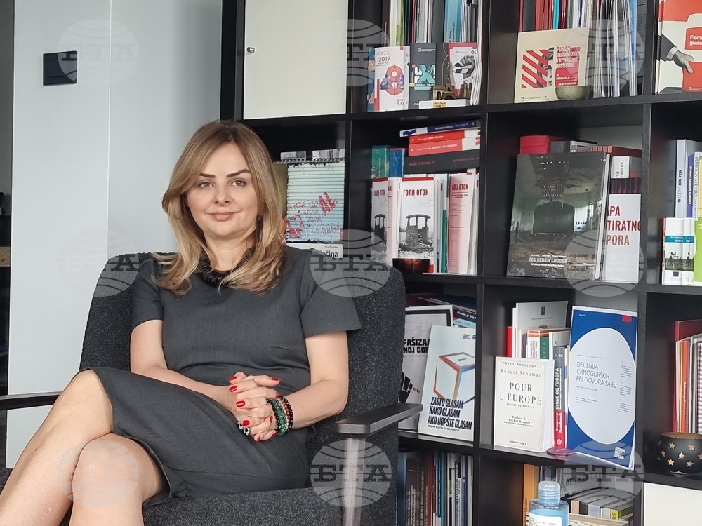 NGO Center for Civic Education Executive Director: "Stable Instability" In Montenegro Will Continue