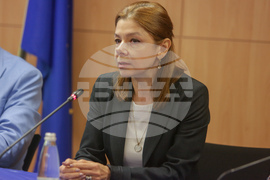 Дом на Европа - конференция - Надя Обретенова