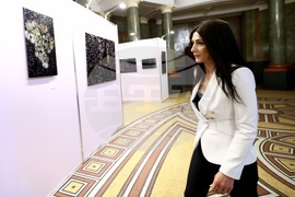 "Забранената зона" - изложба