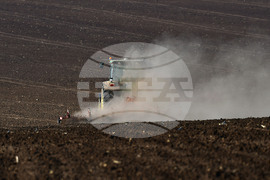 Село Китанчево - подготовка за сеитба