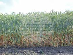 Снимка: Областна администрация Разград 