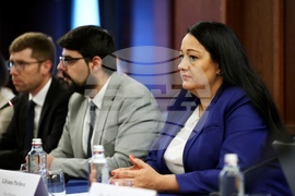 Черноморска коалиция за възобновяема енергия - кръгла маса - Лиляна Павлова