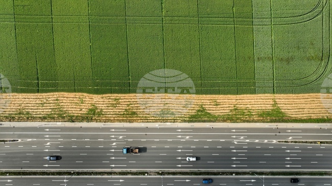 Road Fatality Rate in Bulgaria Remains Much Higher than EU Average – European Commission