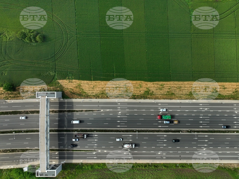 Път - трафик