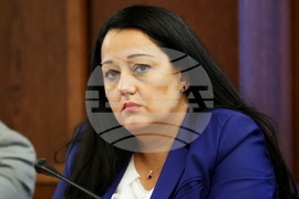 Черноморска коалиция за възобновяема енергия - кръгла маса - Лиляна Павлова