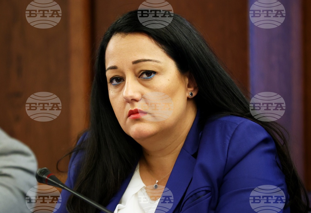 Черноморска коалиция за възобновяема енергия - кръгла маса - Лиляна Павлова