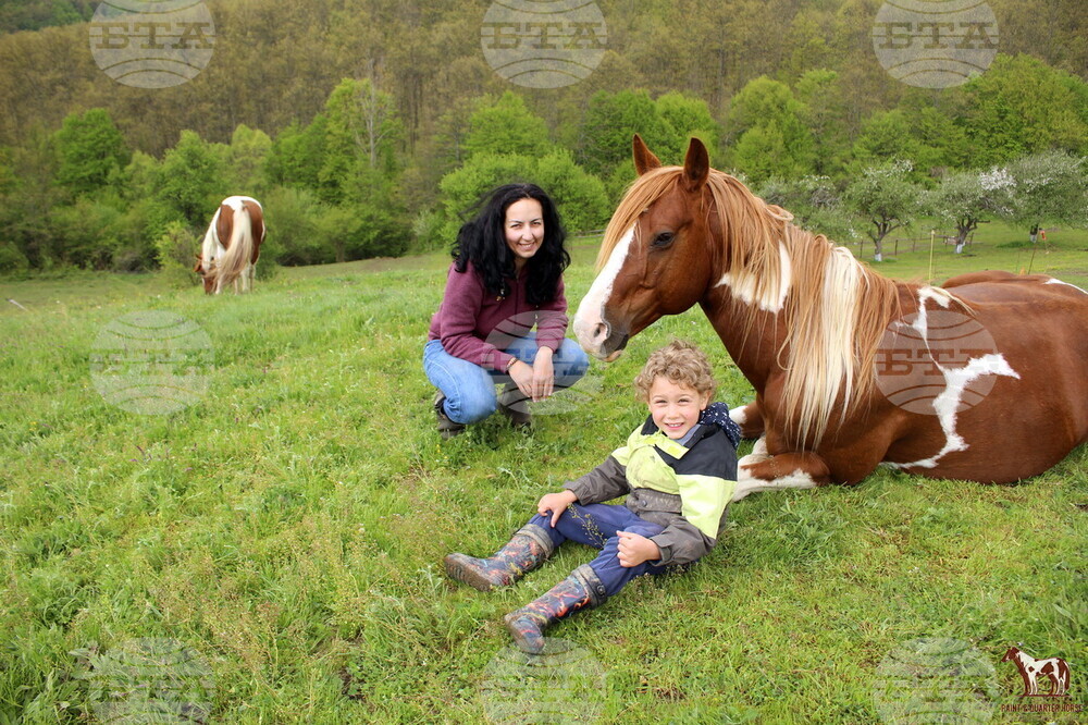 BTA Paint and Quarter Horse Foundation Bulgaria Organization