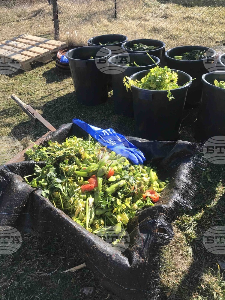 Женският пазар в София започна компостиране на биологичните си отпадъци