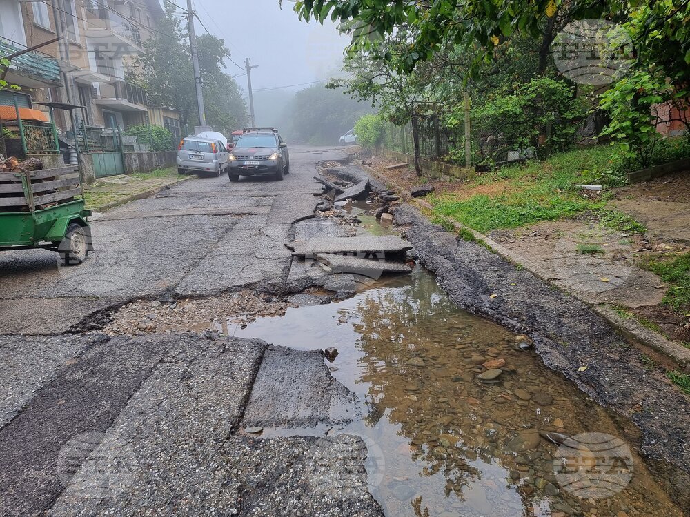 Берковица - дъждове - щети