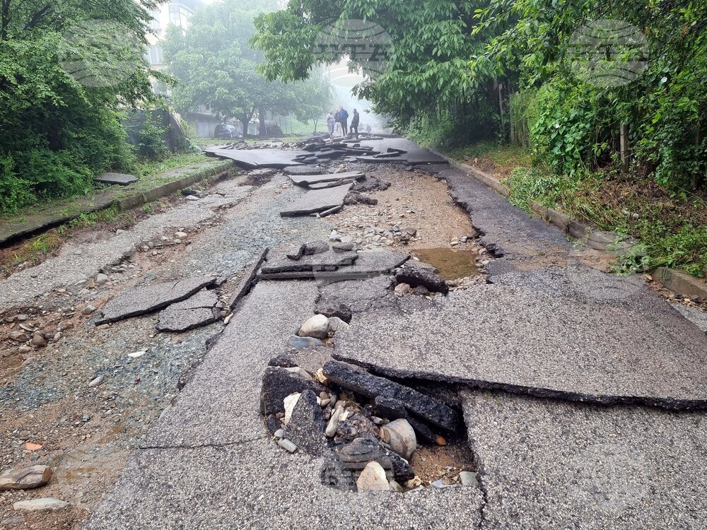 Берковица - дъждове - щети