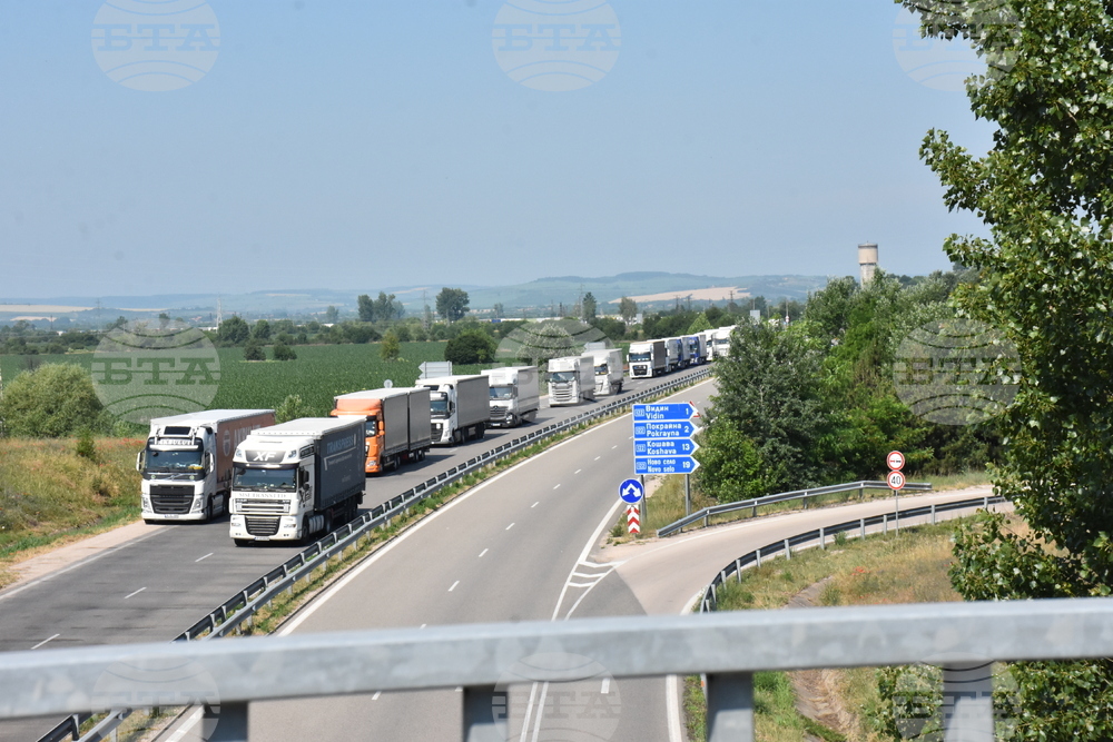 Видин - "Дунав мост 2" - годишнина