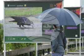 Изложба - "Птиците - рай на земята"