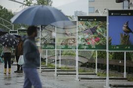 Изложба - "Птиците - рай на земята"