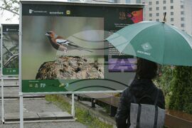 Изложба - "Птиците - рай на земята"