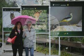 Изложба - "Птиците - рай на земята"