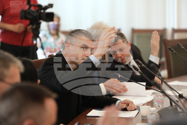 Комисия по енергетика - Радослав Рибарски